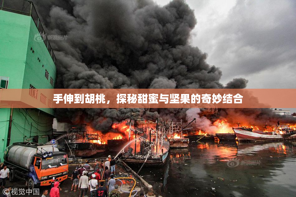 手伸到胡桃，探秘甜蜜与坚果的奇妙结合