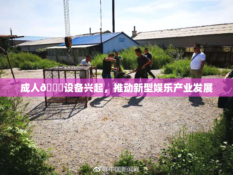 成人🍆设备兴起，推动新型娱乐产业发展