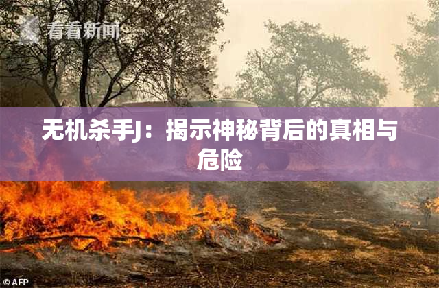 无机杀手J：揭示神秘背后的真相与危险
