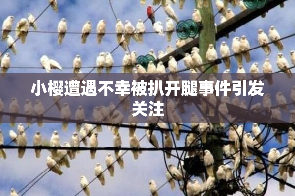 小樱遭遇不幸被扒开腿事件引发关注