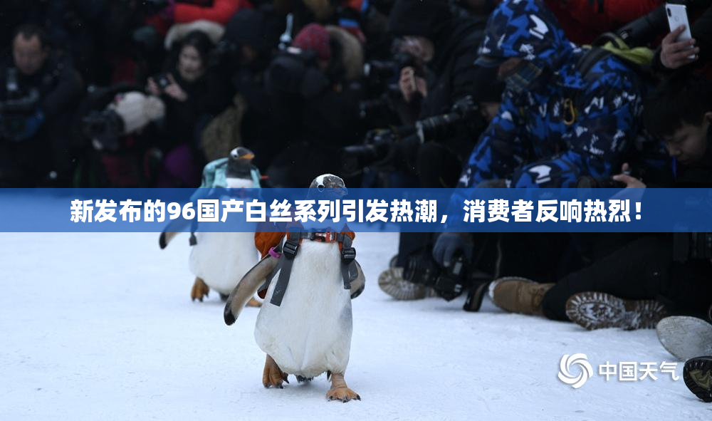 新发布的96国产白丝系列引发热潮，消费者反响热烈！