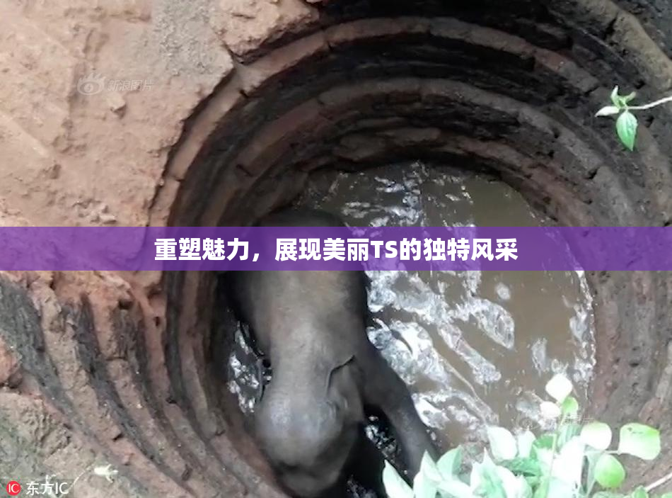 重塑魅力，展现美丽TS的独特风采