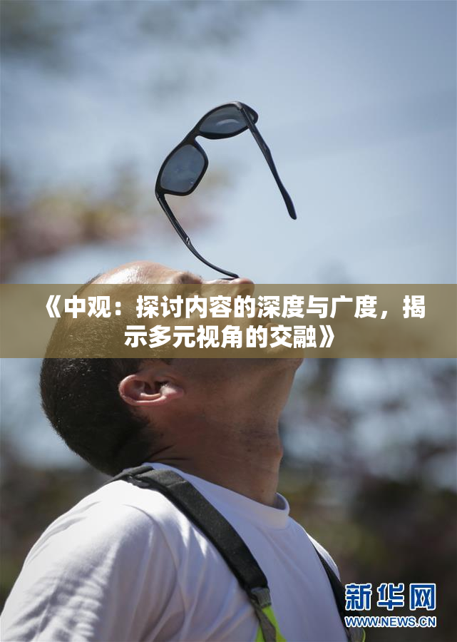 《中观：探讨内容的深度与广度，揭示多元视角的交融》