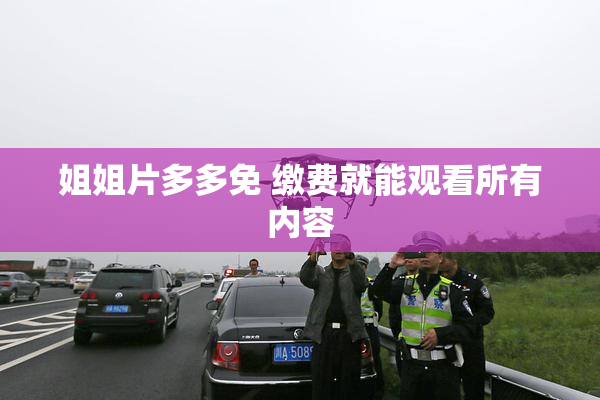 姐姐片多多免 缴费就能观看所有内容