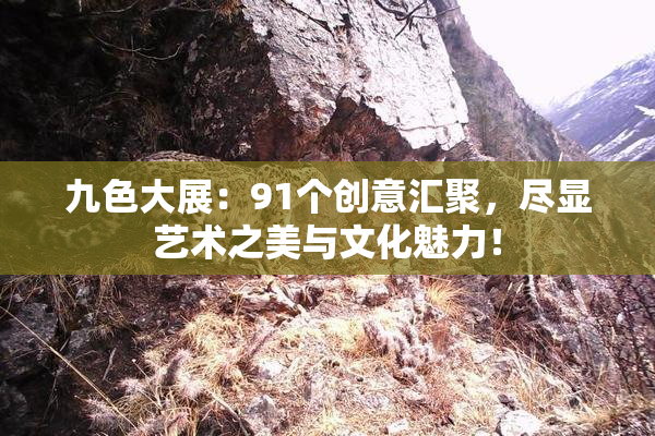 九色大展：91个创意汇聚，尽显艺术之美与文化魅力！