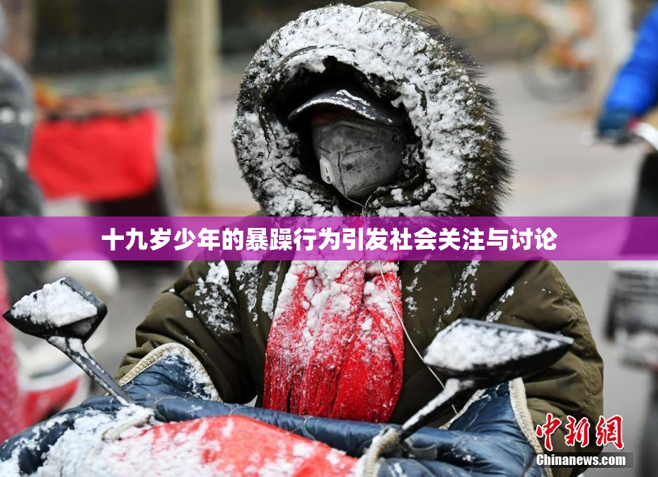 十九岁少年的暴躁行为引发社会关注与讨论