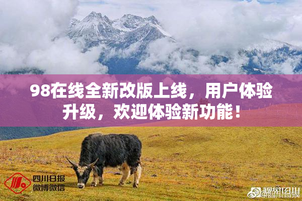 98在线全新改版上线，用户体验升级，欢迎体验新功能！