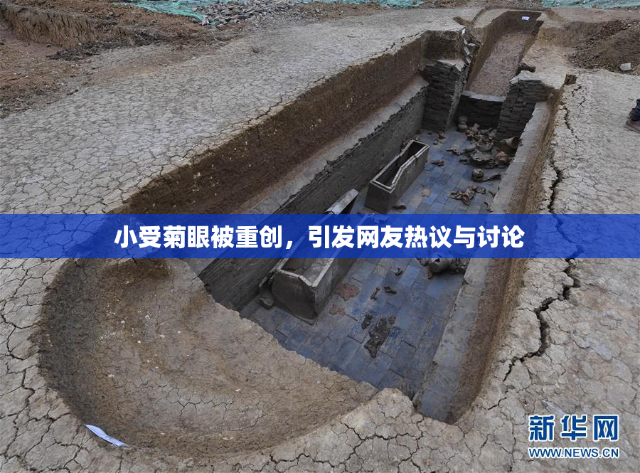 小受菊眼被重创，引发网友热议与讨论
