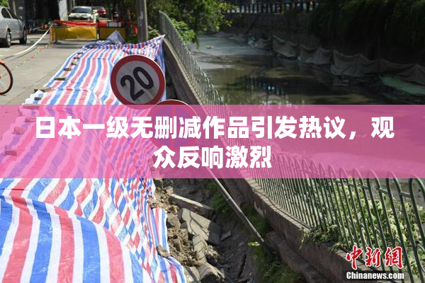 日本一级无删减作品引发热议，观众反响激烈