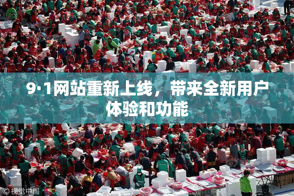 9·1网站重新上线，带来全新用户体验和功能