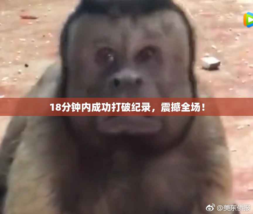 18分钟内成功打破纪录，震撼全场！
