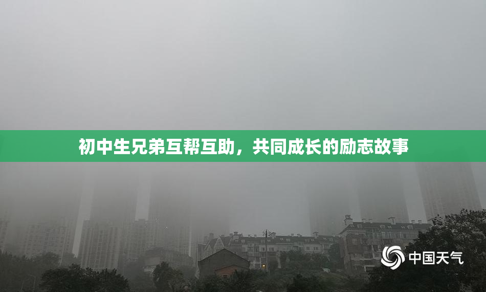 初中生兄弟互帮互助，共同成长的励志故事