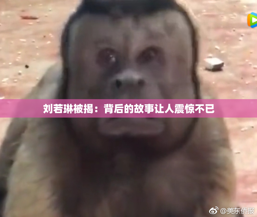 刘若琳被揭：背后的故事让人震惊不已