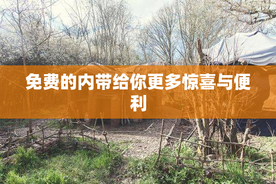 免费的内带给你更多惊喜与便利
