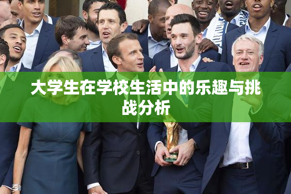 大学生在学校生活中的乐趣与挑战分析