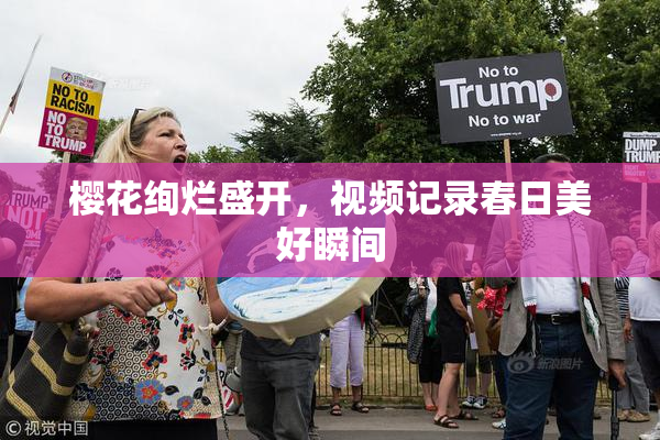 樱花绚烂盛开，视频记录春日美好瞬间