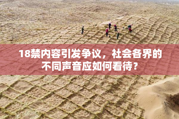 18禁内容引发争议，社会各界的不同声音应如何看待？