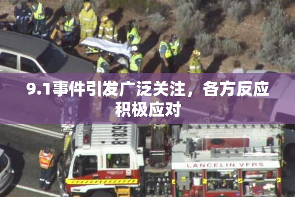 9.1事件引发广泛关注，各方反应积极应对