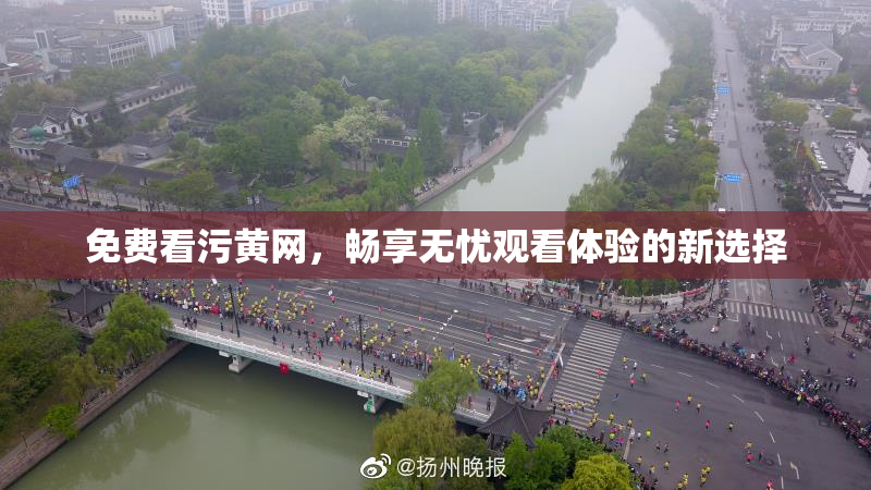 免费看污黄网，畅享无忧观看体验的新选择
