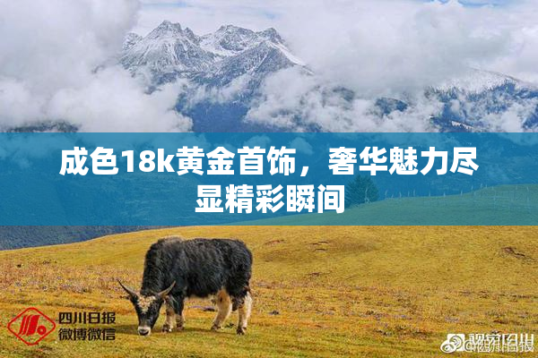 成色18k黄金首饰，奢华魅力尽显精彩瞬间