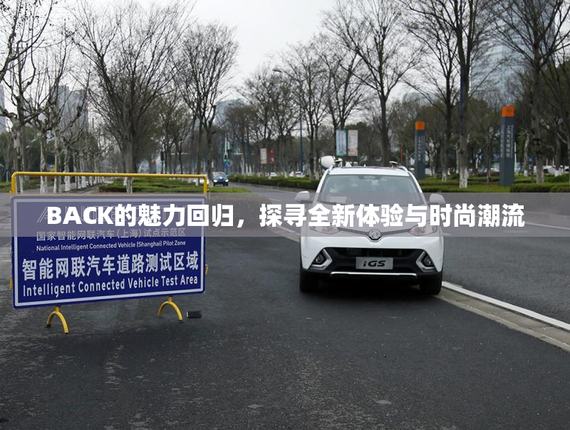 BACK的魅力回归，探寻全新体验与时尚潮流