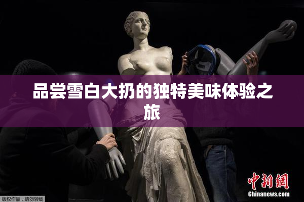 品尝雪白大扔的独特美味体验之旅