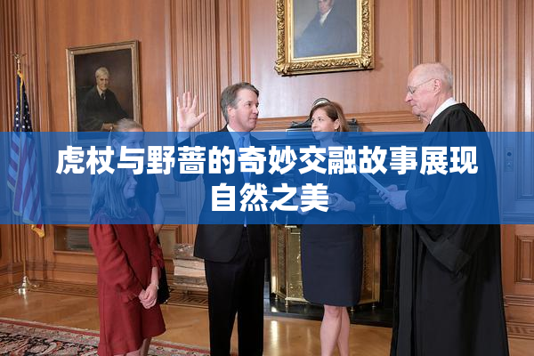 虎杖与野蔷的奇妙交融故事展现自然之美
