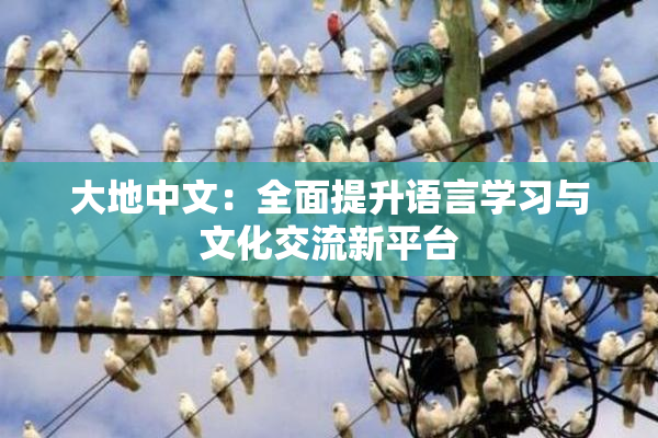 大地中文：全面提升语言学习与文化交流新平台