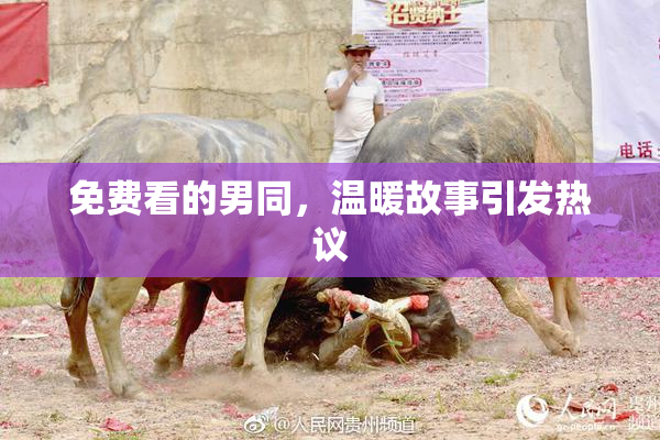 免费看的男同，温暖故事引发热议