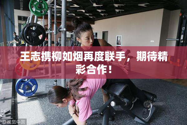 王志携柳如烟再度联手，期待精彩合作！