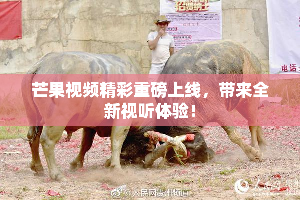 芒果视频精彩重磅上线，带来全新视听体验！