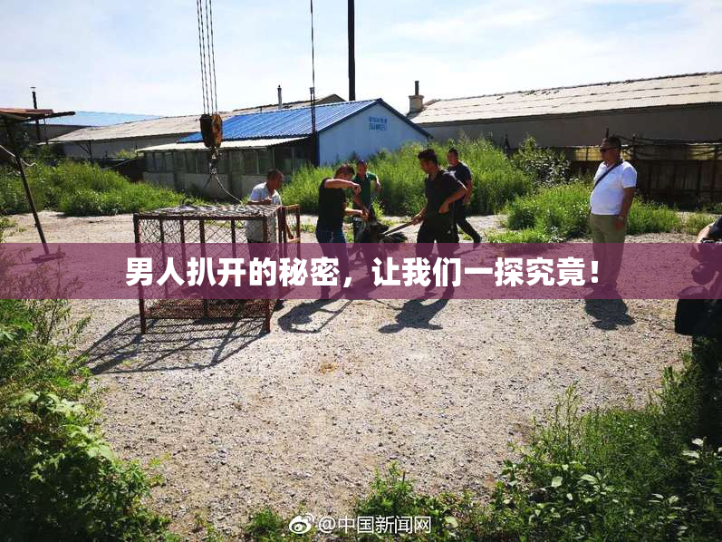 男人扒开的秘密，让我们一探究竟！