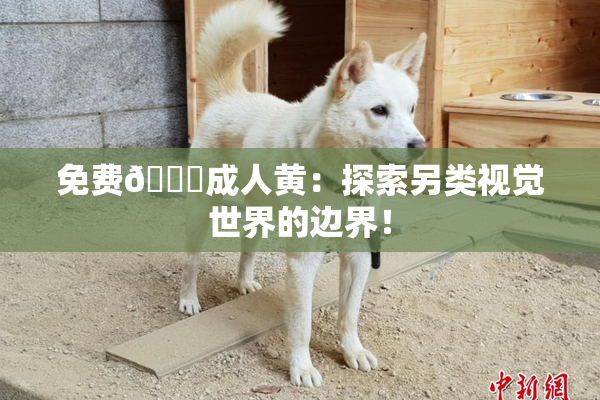 免费🔞成人黄：探索另类视觉世界的边界！