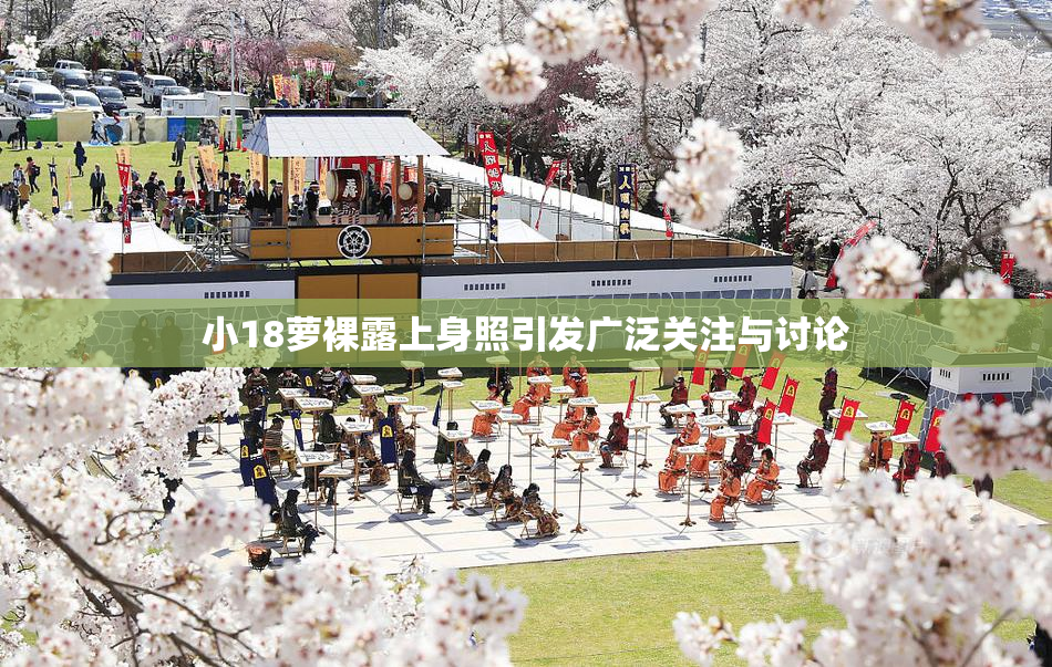 小18萝裸露上身照引发广泛关注与讨论