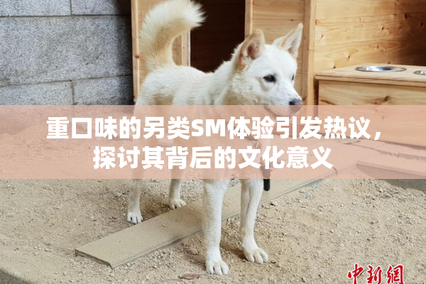 重口味的另类SM体验引发热议，探讨其背后的文化意义