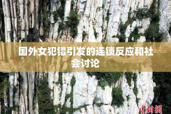 国外女犯错引发的连锁反应和社会讨论