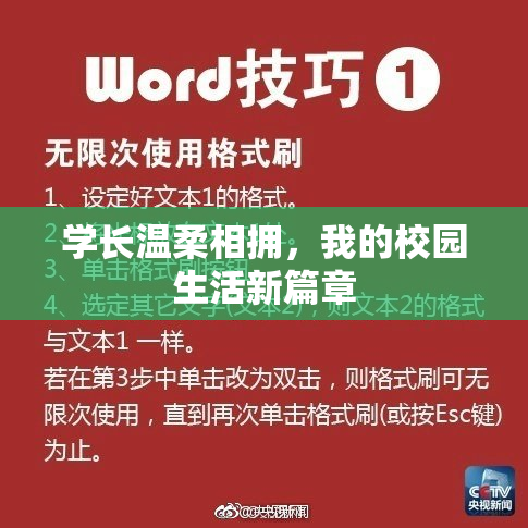 学长温柔相拥，我的校园生活新篇章