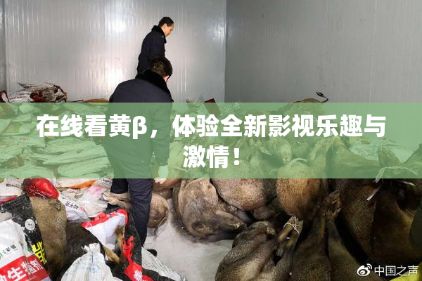 在线看黄β，体验全新影视乐趣与激情！
