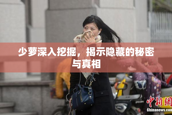 少萝深入挖掘，揭示隐藏的秘密与真相