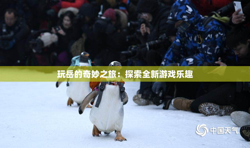玩岳的奇妙之旅：探索全新游戏乐趣
