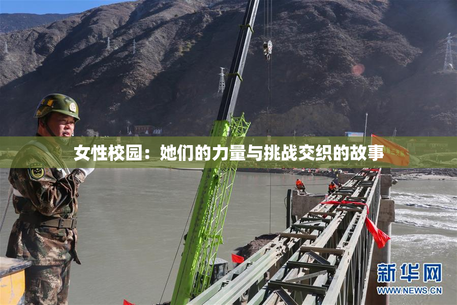 女性校园：她们的力量与挑战交织的故事