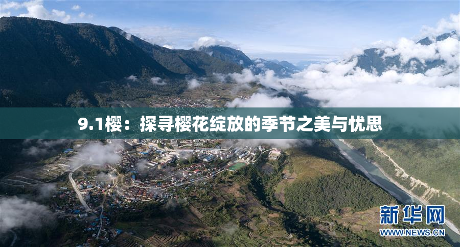 9.1樱：探寻樱花绽放的季节之美与忧思