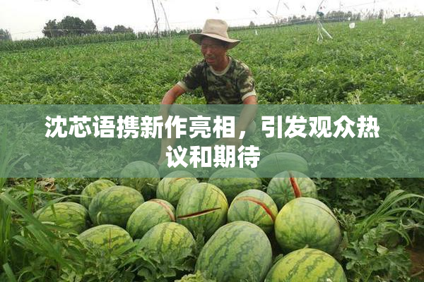 沈芯语携新作亮相，引发观众热议和期待
