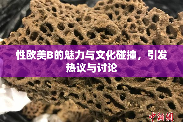 性欧美B的魅力与文化碰撞，引发热议与讨论