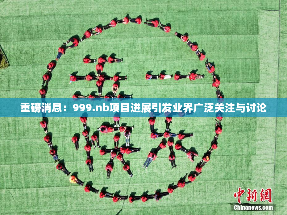 重磅消息：999.nb项目进展引发业界广泛关注与讨论