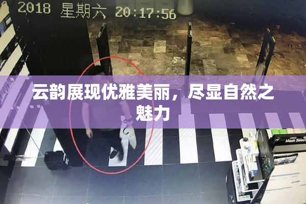 云韵展现优雅美丽，尽显自然之魅力