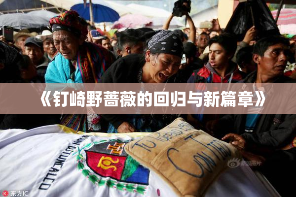 《钉崎野蔷薇的回归与新篇章》