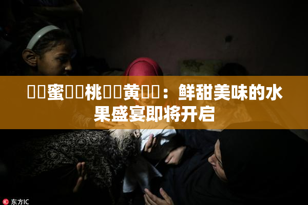 ❌‌蜜❌‌桃❌‌黄❌‌：鲜甜美味的水果盛宴即将开启