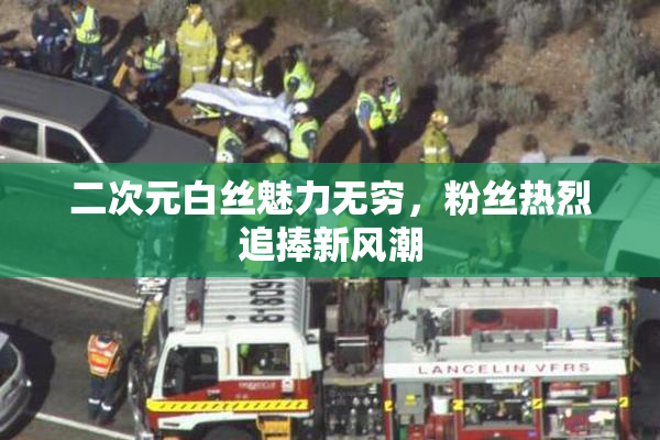 二次元白丝魅力无穷，粉丝热烈追捧新风潮