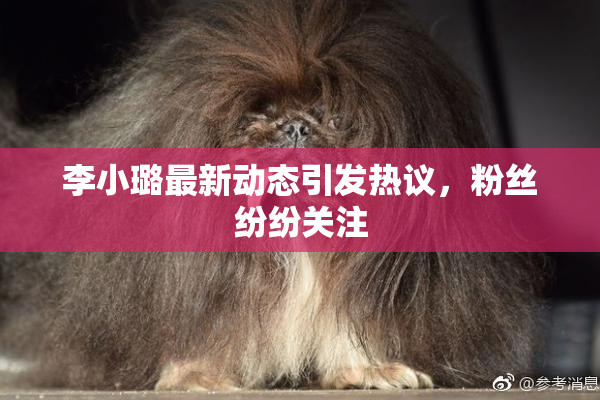李小璐最新动态引发热议，粉丝纷纷关注